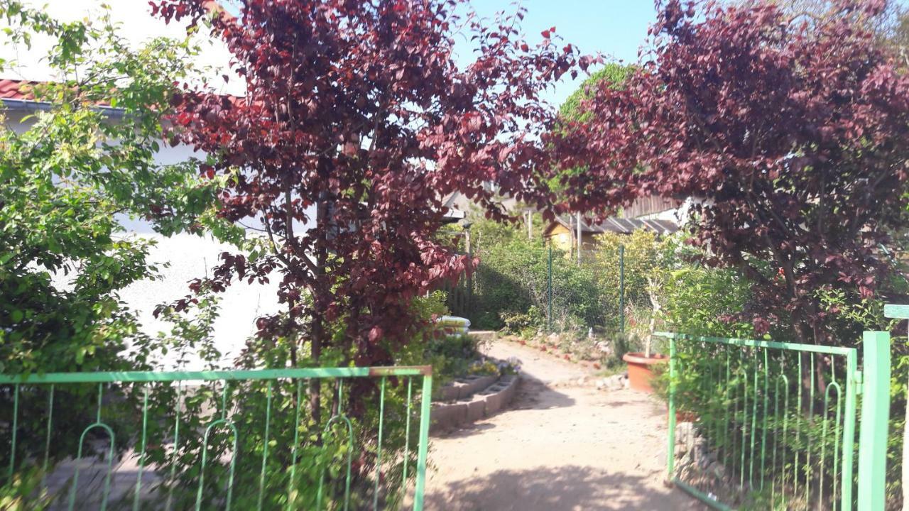 Apartments Zum Brauergang Garz  Esterno foto